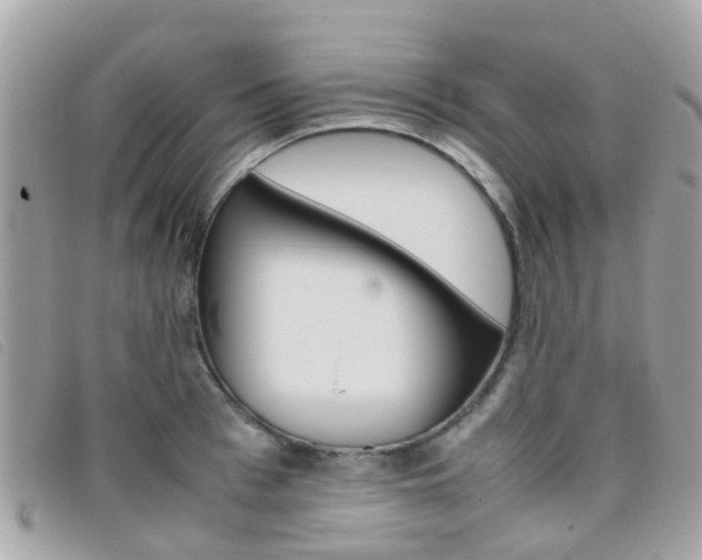 X0000095950993200801110912