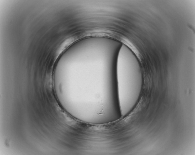 X0000095950994200801110912