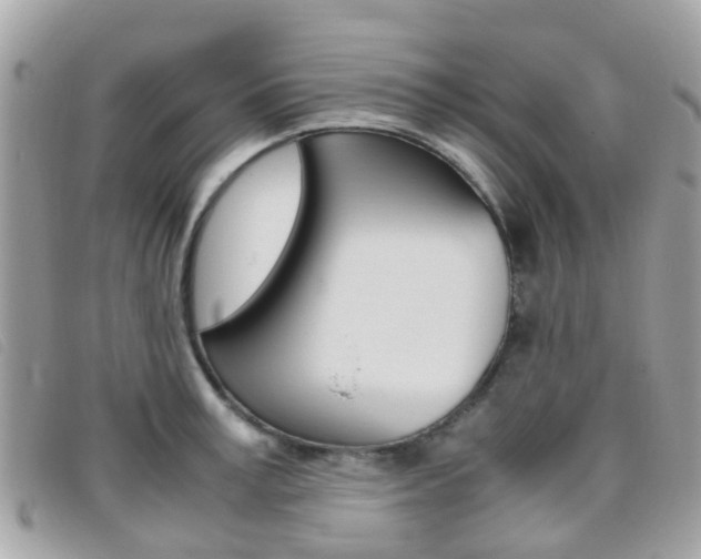 X0000095950995200801110912
