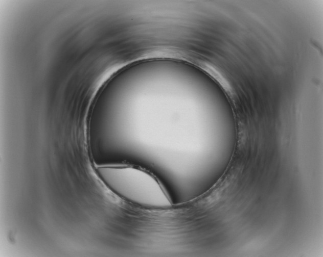X0000095950996200801110912
