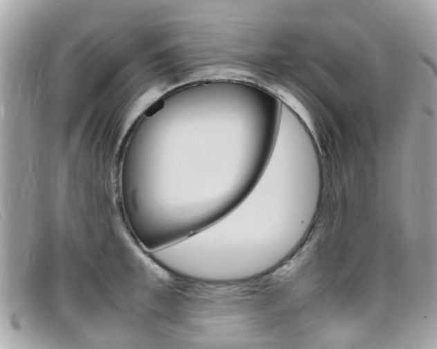 X0000095950997200801110912