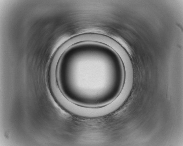 X0000095950999200801110912