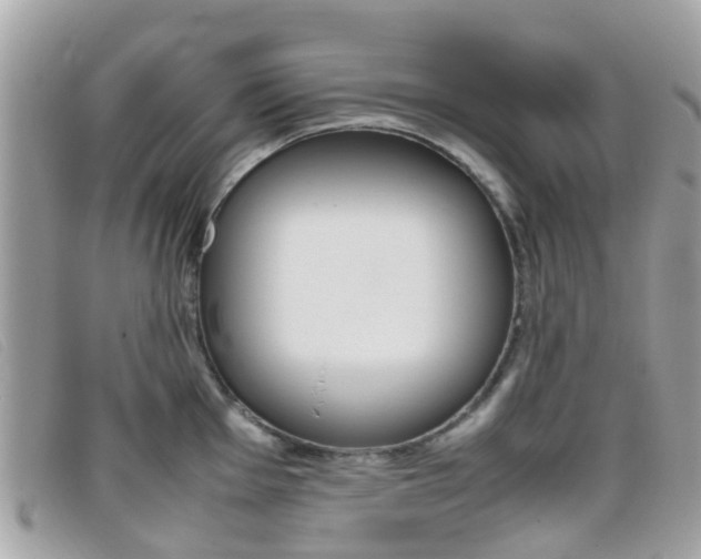 X0000095951001200801110912