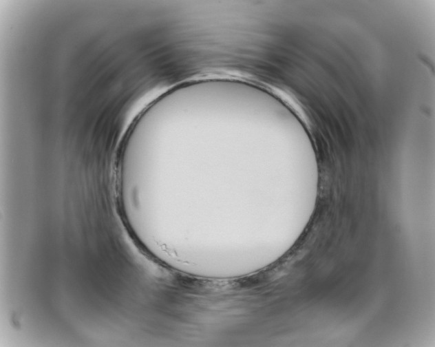 X0000095951003200801110912