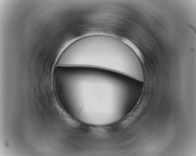 X0000095951004200801110912