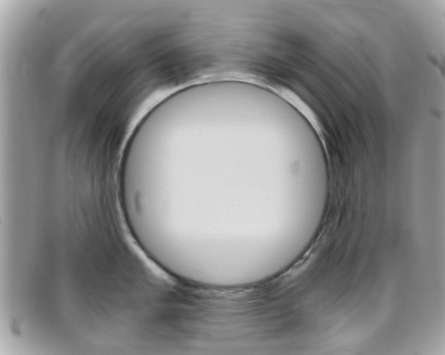 X0000095951005200801110912