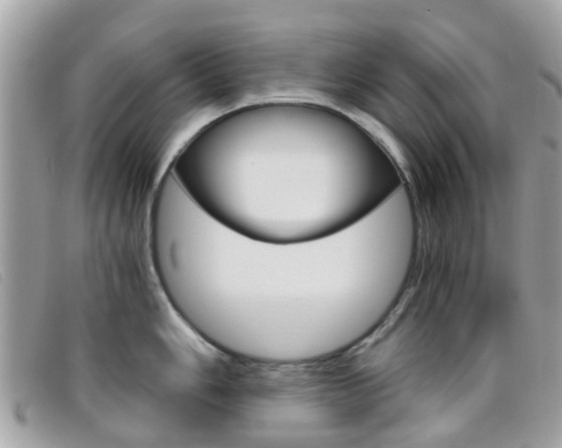 X0000095951006200801110912