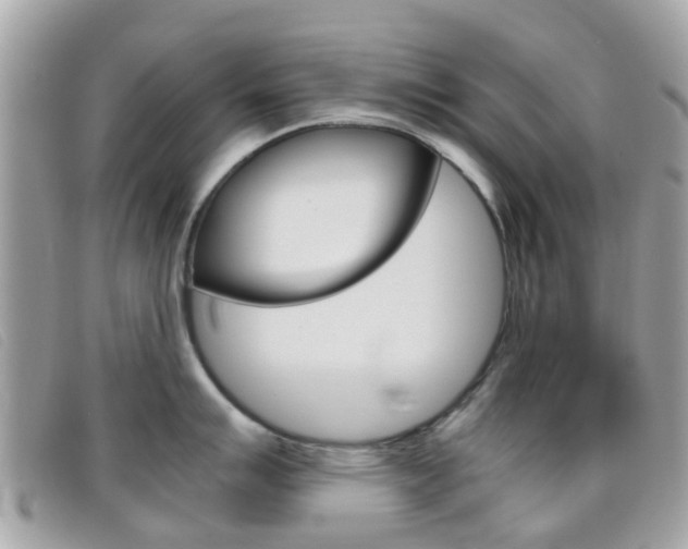 X0000095951007200801110911