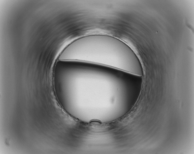X0000095951008200801110911