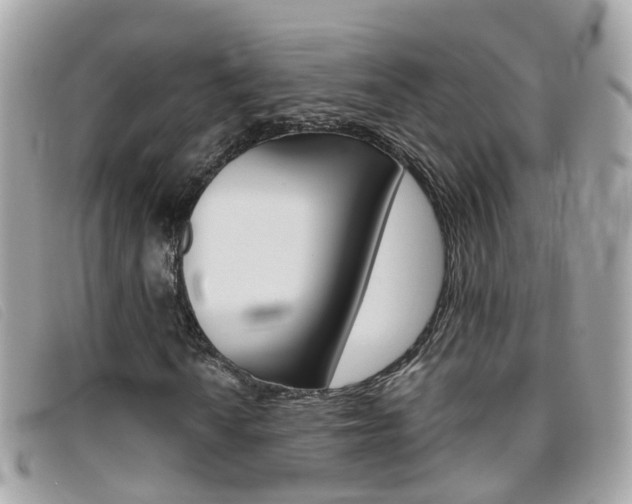 X0000095951010200801110911