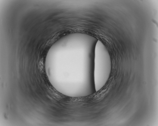 X0000095951011200801110911