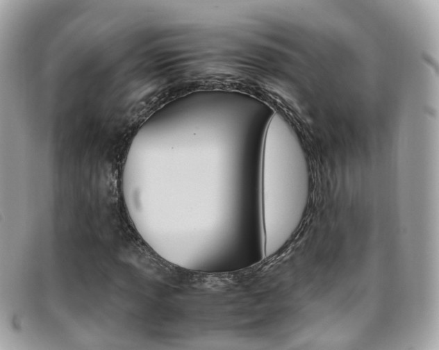 X0000095951013200801110911