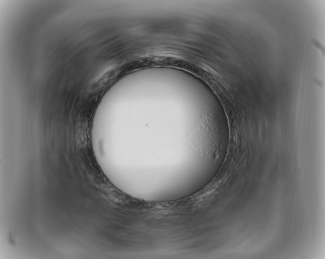 X0000095951014200801110911
