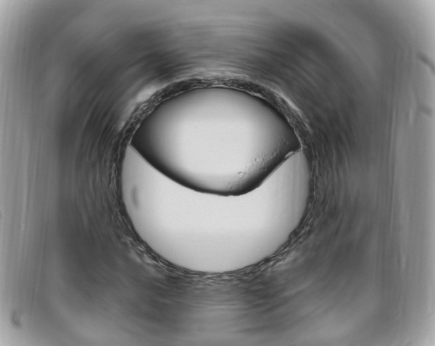 X0000095951016200801110911