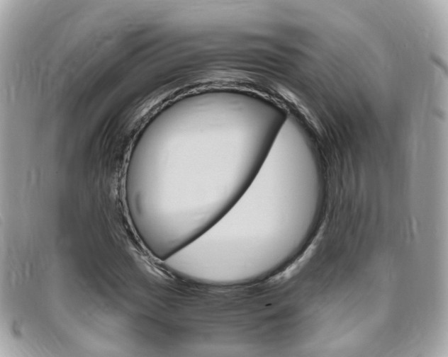 X0000095951017200801110911