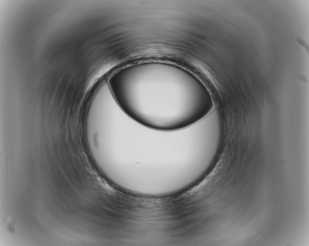 X0000095951018200801110911
