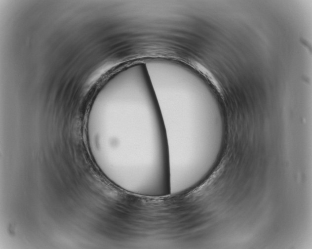 X0000095951019200801110911