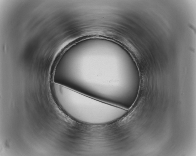 X0000095951020200801110911