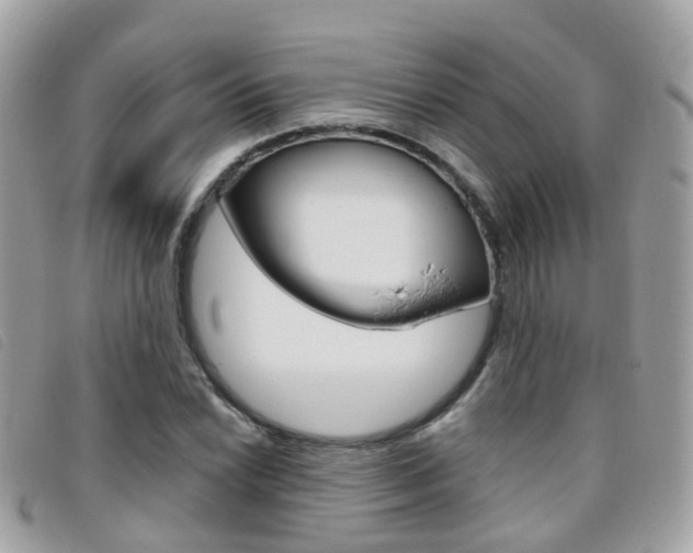 X0000095951022200801110911