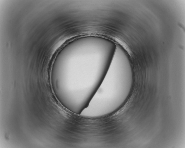 X0000095951023200801110911