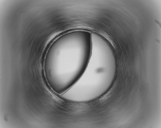 X0000095951024200801110911