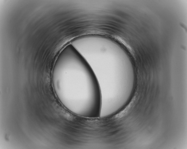 X0000095951025200801110911