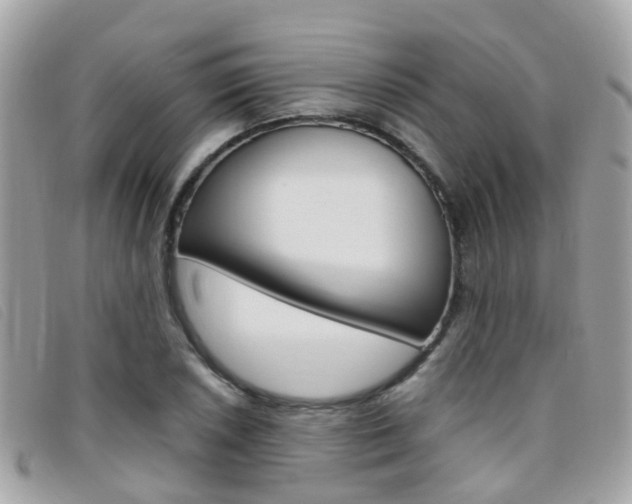 X0000095951026200801110911
