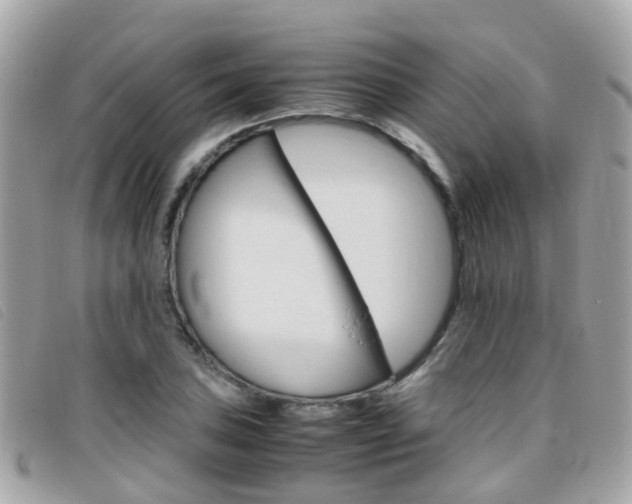X0000095951027200801110911