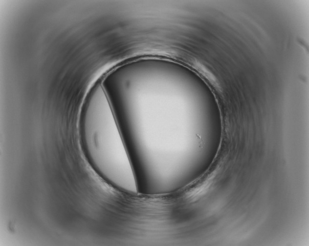 X0000095951028200801110911