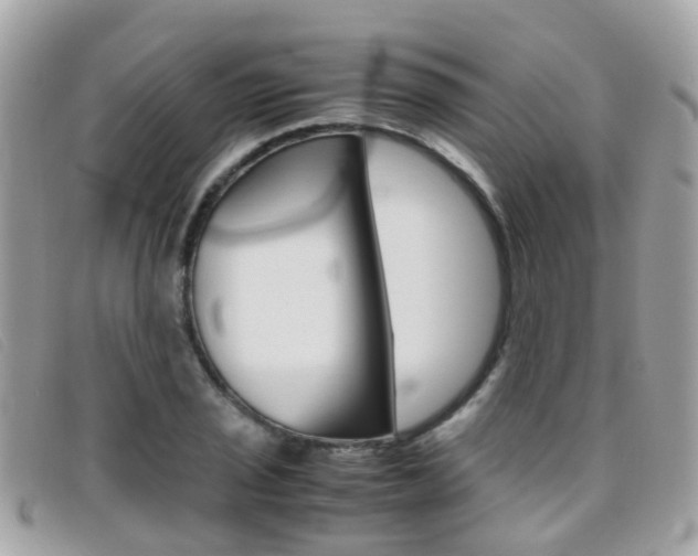 X0000095951029200801110911