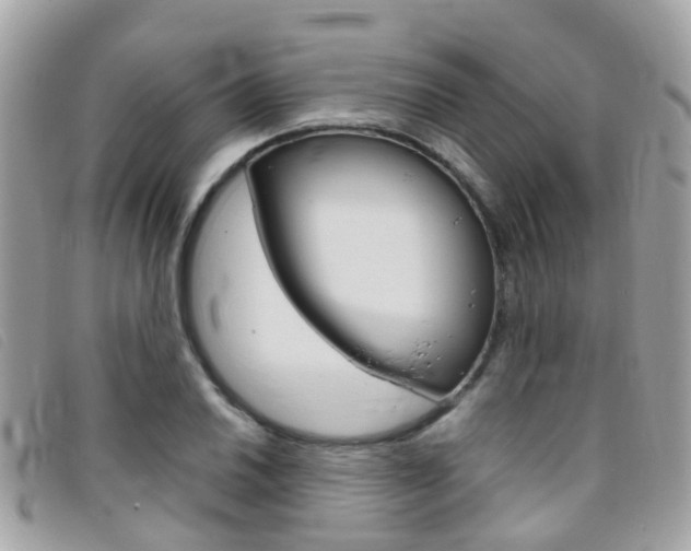 X0000095951030200801110911