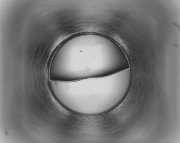 X0000095951032200801110911