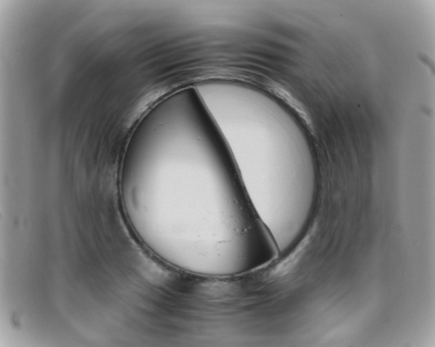 X0000095951033200801110911