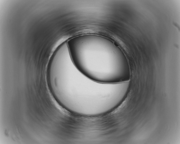 X0000095951034200801110911