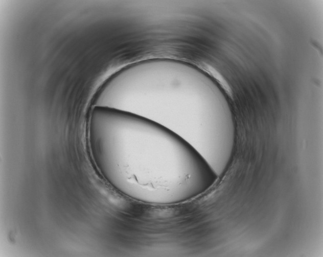 X0000095951035200801110911