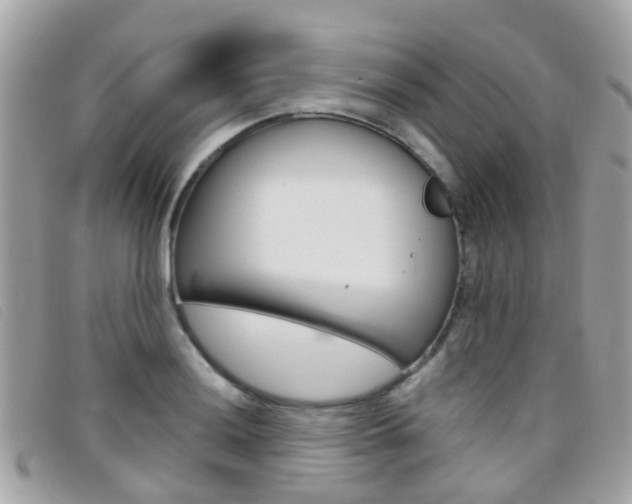 X0000095951036200801110911