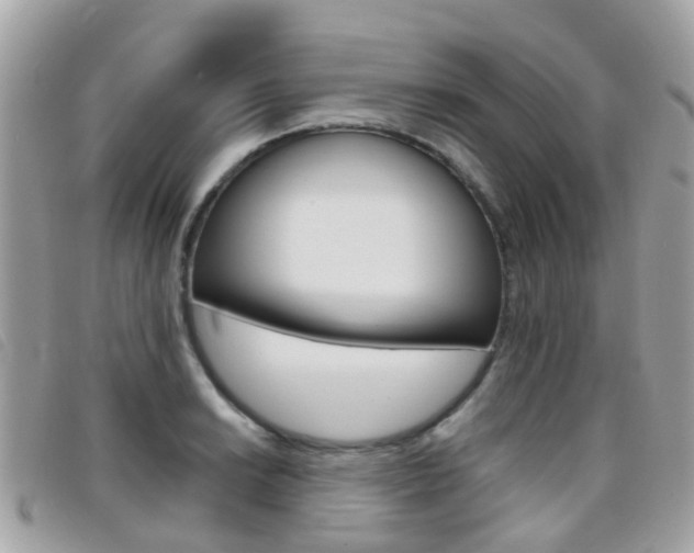 X0000095951038200801110911