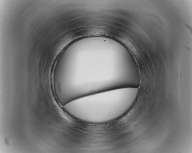X0000095951039200801110911