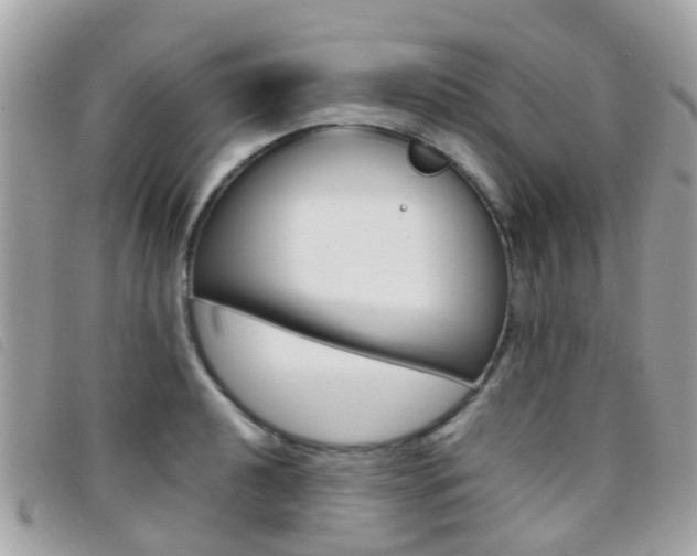 X0000095951040200801110911