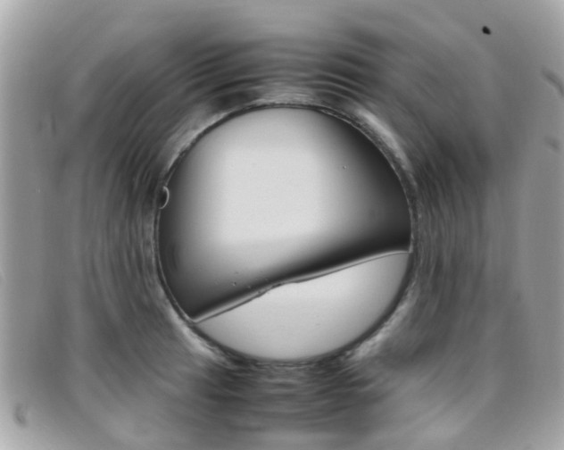 X0000095951041200801110911