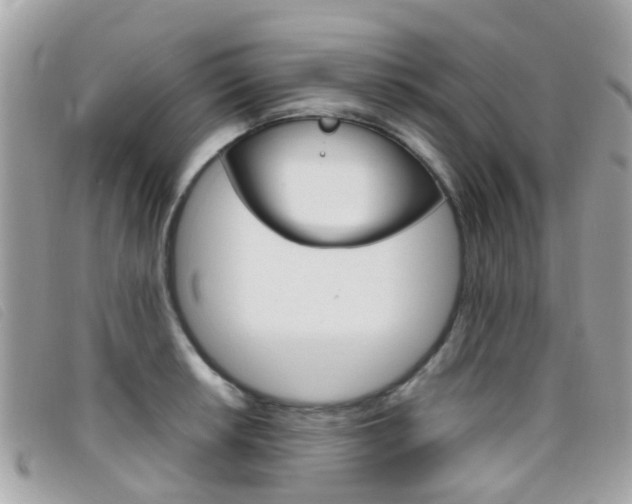 X0000095951042200801110911
