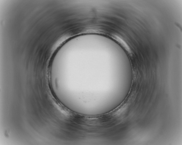 X0000095951043200801110911