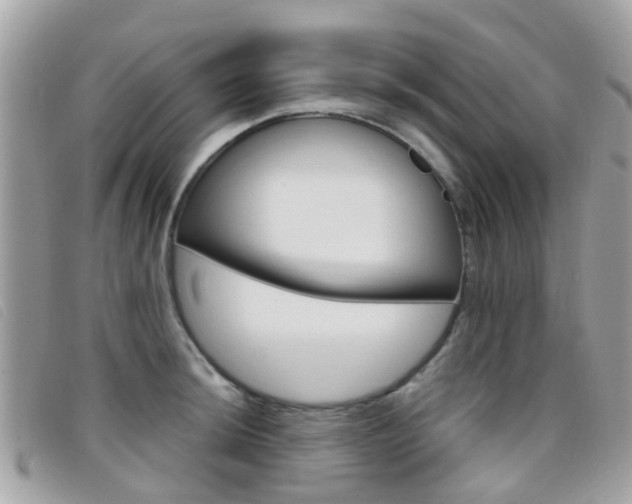 X0000095951044200801110911