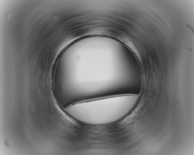 X0000095951045200801110911