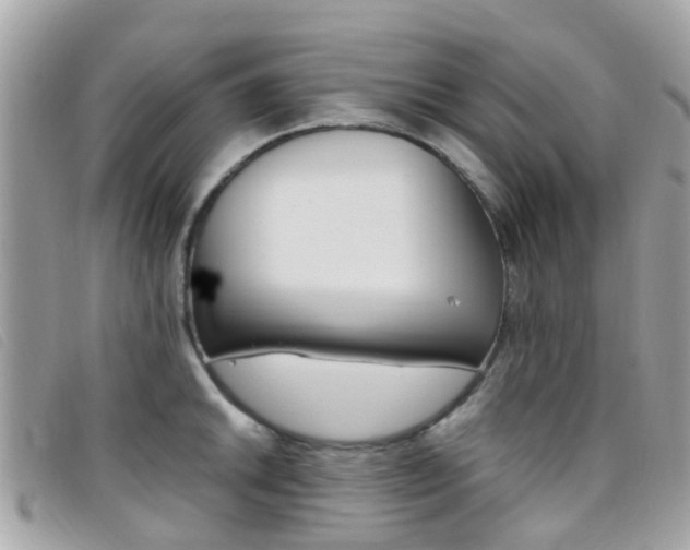 X0000095951046200801110911