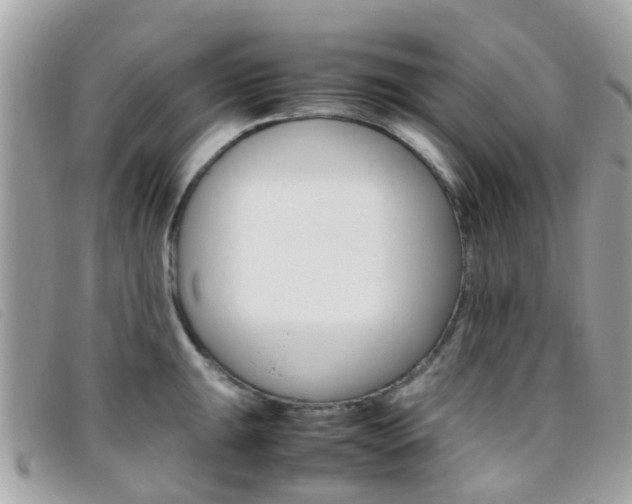 X0000095951047200801110911