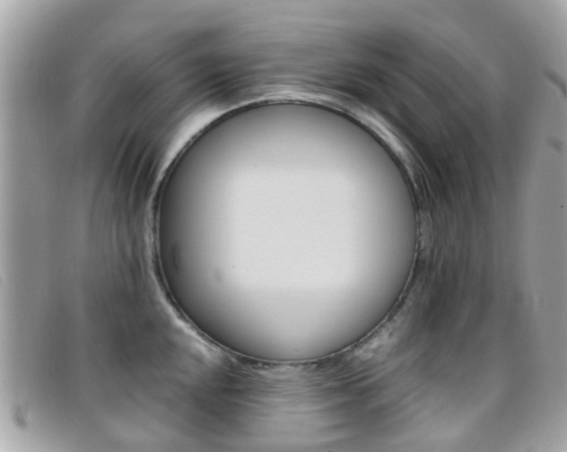 X0000095951048200801110911