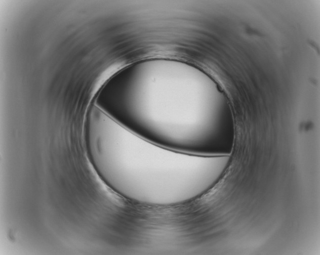 X0000095951050200801110911
