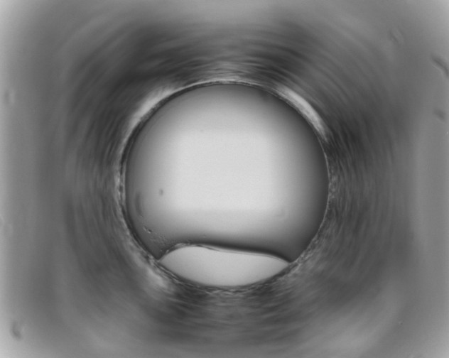 X0000095951051200801110911