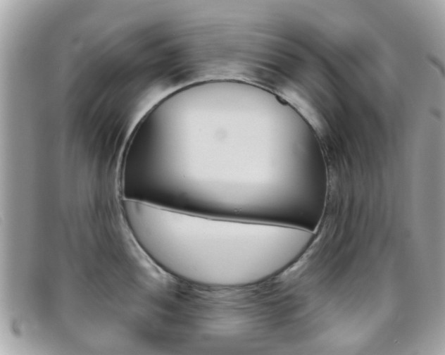 X0000095951052200801110911